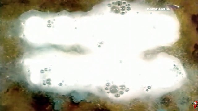 Похищение ребенка Линдбергов