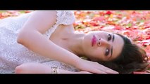 Daayre - Dilwale _ Shah Rukh Khan_ Kajol _ Varun _ Kriti _ Official Music Video 2015