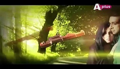 Bheegi Palken Episode 8 Full on Aplus 1st January 2016