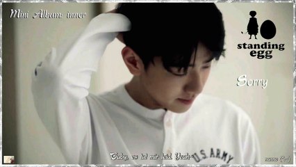 Standing Egg - Sorry k-pop [german Sub] [Mini Album inner]