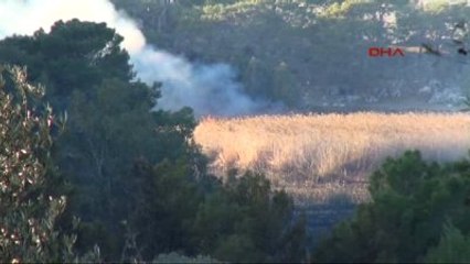 Kaş'ta Orman Yangını