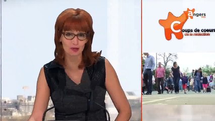 JT DECEMBRE 2015 [S.2015] [E.32] - Coups de coeur de la rédaction du vendredi 1er janvier 2016