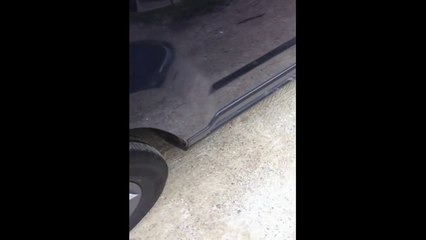 Pup Helps Older Dog Out Of Car