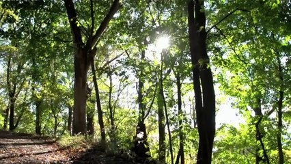 06 RISE AND RISE BITCOIN