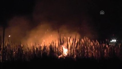 Sazlık Alanda Yangın