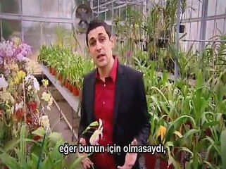 Elektrik Sistemleri Proje Ödevi