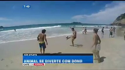 هذا الرباعي أصبح حديث العالم أجمع على الأنترنت