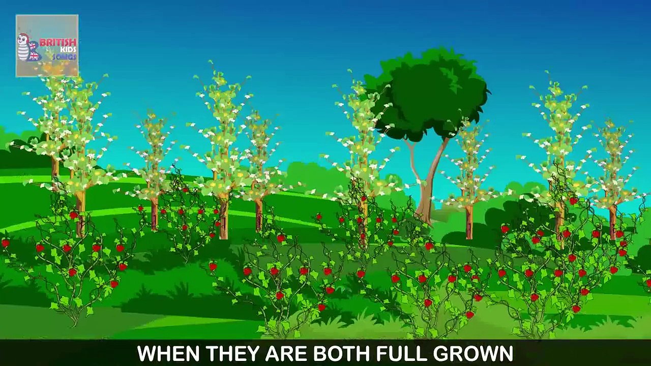 The Holly and the Ivy | Christmas Songs For Children | British Kids Songs Xmas Series