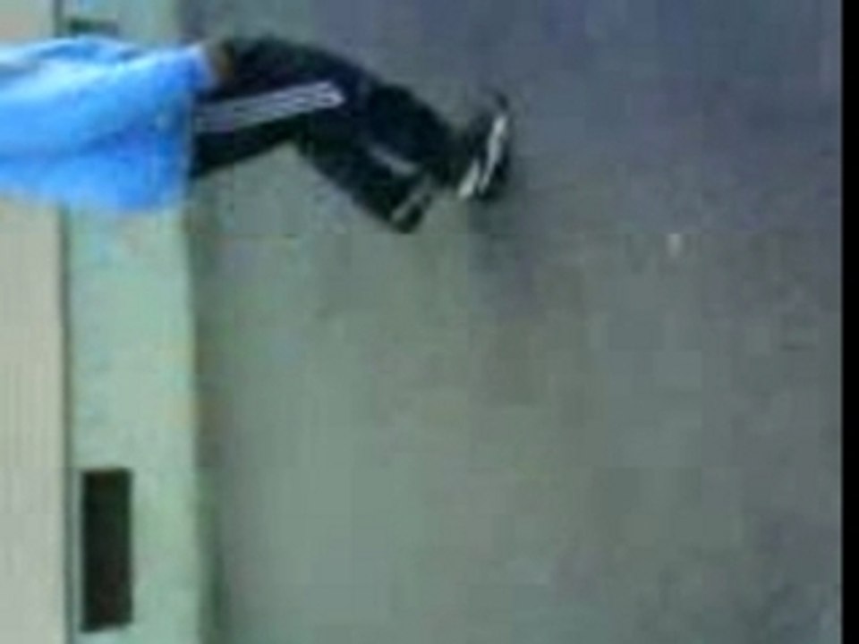freestyle anis