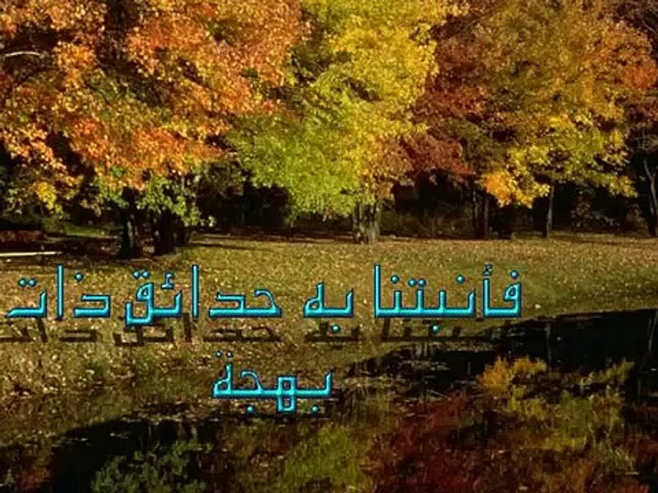 الشيخ كشك دروس المساء الحلقة 18
