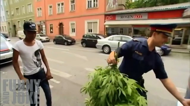 The best of 2016 Лучшее в COUB 2015 Смешные Приколы, фан видео - приколы 2015 272