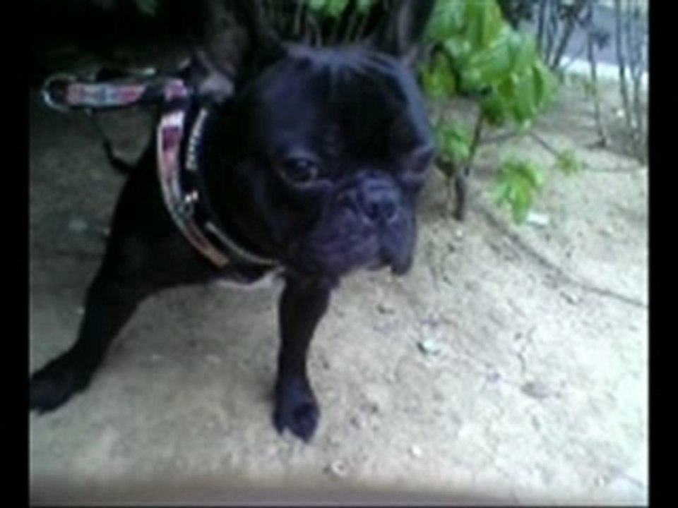 MOKA