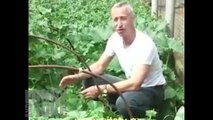 The best of 2016 Лучшие приколы в COUB - Подборка Смешных Приколов, фан видео 39