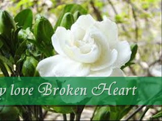 Dil ko Zara sa araam dain gay