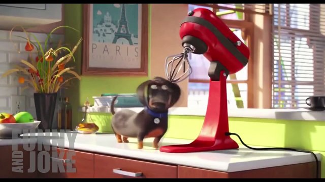 The best of 2016 Лучшее в COUB 2015 - Смешные Приколы, фан видео - приколы 2015 222