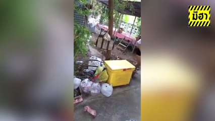 The best of 2016 Funny clip รวมคลิปตลกสุดฮา ประเทศไทย EP 29