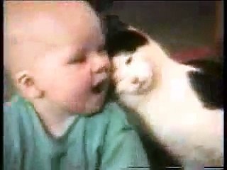 compile chat drole gag