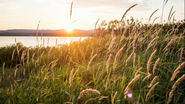 Alann Stivel Renaissance de la Harpe Celtique - (1971) Caitlin Triall Port Ui Mhurgheasa (upload) 02/01/2016