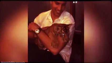 Fenerbahce's Robin van Persie plays with a tiger cub in Dubai