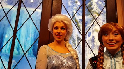 Anna, Elsa & Star Wars Land  Disneyland!