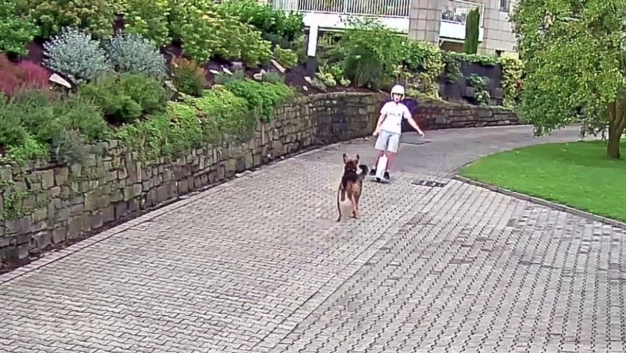 Best Fails of the Week 4 October 2015 || FailArmy