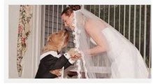 Woman marries DOG in 'romantic' wedding ceremony - after marriage to man didn't work out(2016)
