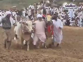 Chakwal Dharabi Jalsa, Kara Mama Safeer Talagang 1