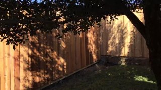 Dallas Fence Installation has another awesome fence pre-wired for LED lighting. 469-269-2838