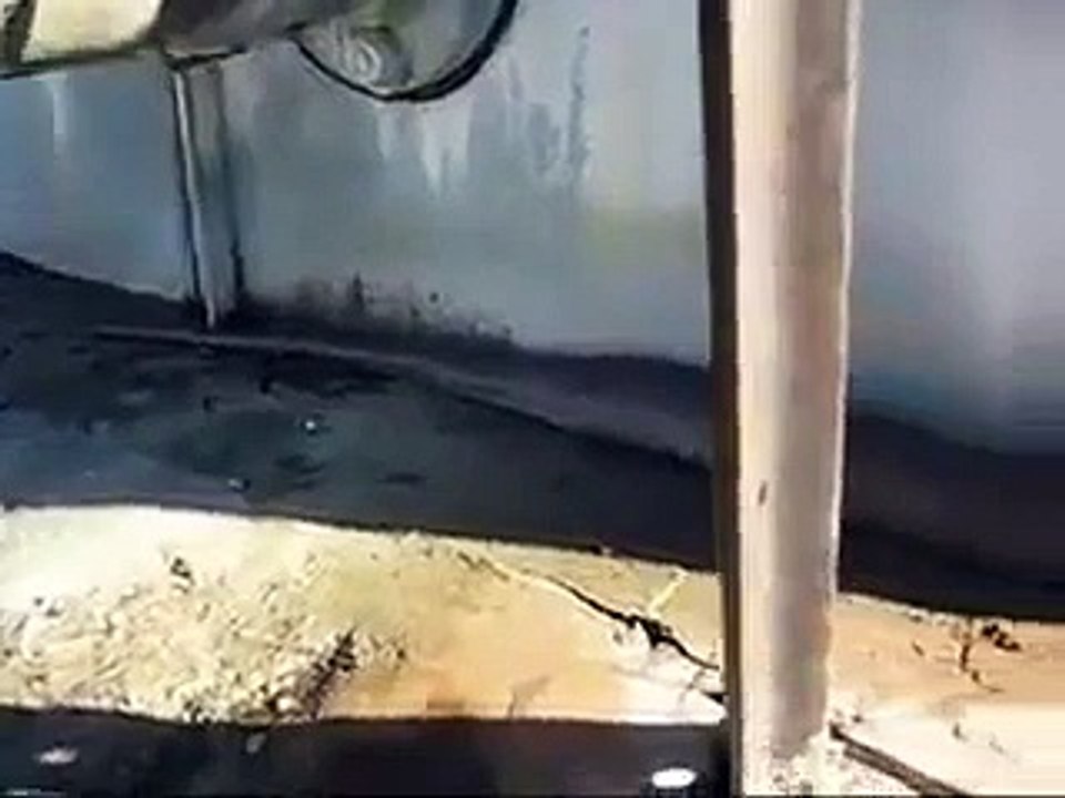 Big snake caught in india