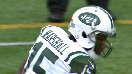 Ryan Fitzpatrick to Brandon Marshall for 41 yards