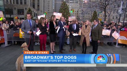 Matthew Broderick, Annaleigh Ashford Talk Staring In ‘Sylvia’ | TODAY