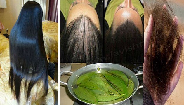 GROW HAIR FASTER Plus STOP HAIR LOSS