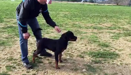 luna vom hause bouhfour