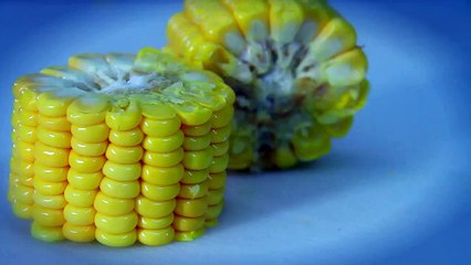 AYAM MASAK CABE HIJAU