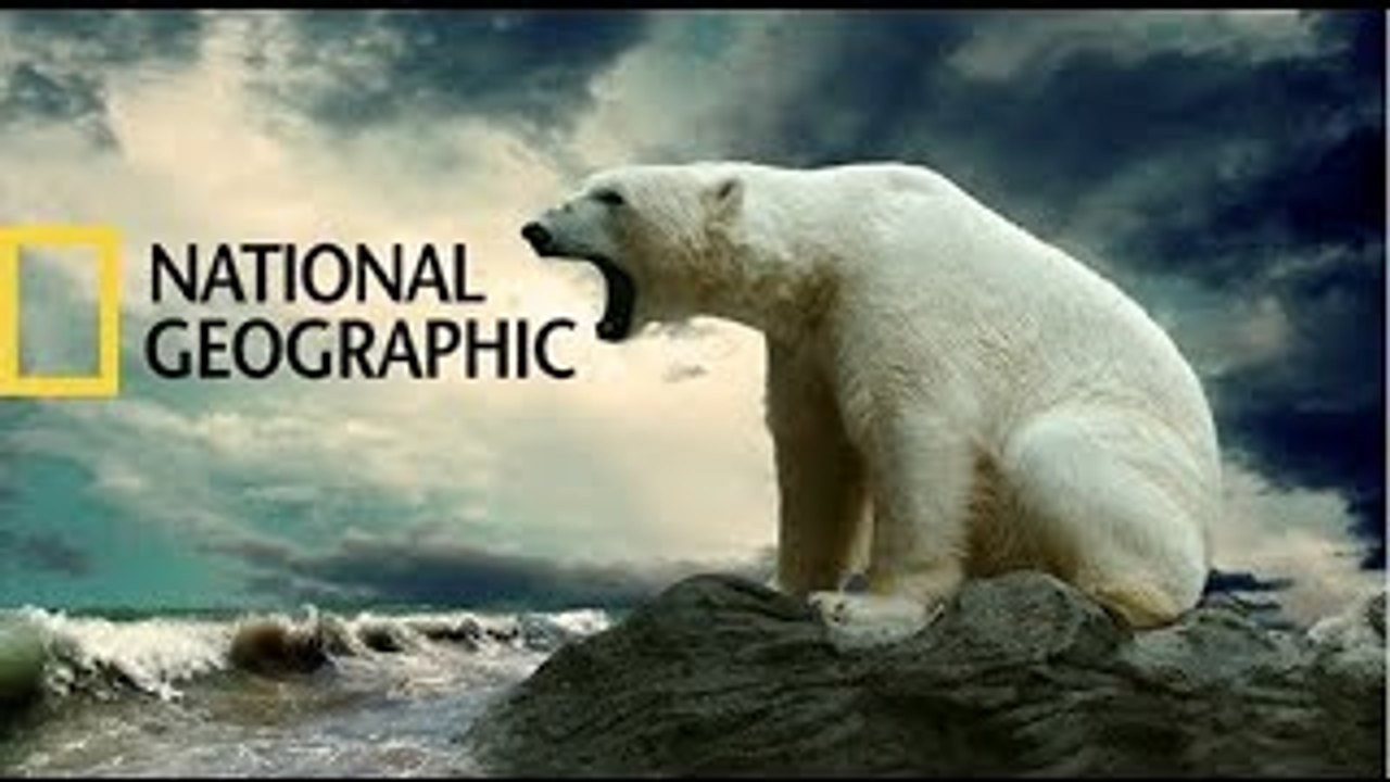 Wild Alaska HD (National Geographic) Documentary video Dailymotion