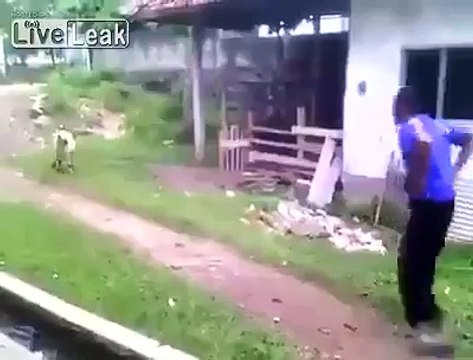 Mieux que compter les moutons : les sauters