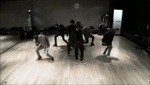 [DANCE MIRRORED] iKON - Apology (지못미)