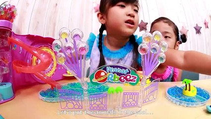 ORbeez Ali's Adventure Park アドベンチャーパーク