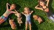 Barbie e il Tesoro dei Cuccioli - Film COMPLETO