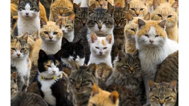 REUTERS DHE AFP FOTOT ME TE BUKURA SIPAS AGJENCIVE PRESTIGJOZE TE LAJMEVE LAJM