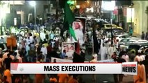 Saudi Arabia carries out 47 executions, including Shia cleric