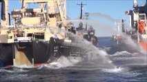 6 biggest collisions between Sea Shepherd and Japanese Whalers Boats