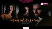Yeh Mera Deewanapan Hai A-Plus Tv Drama Episode 40 Full (02 January 2016)