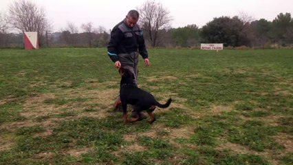 luna vom hause bouhfour (6mois)