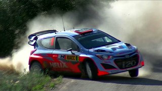 WRC 5 Catalunya Polo - Gameplay