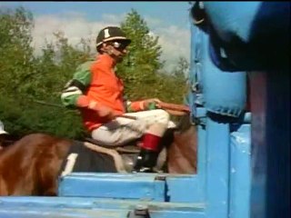 l'étalon noir la mauvais cheval