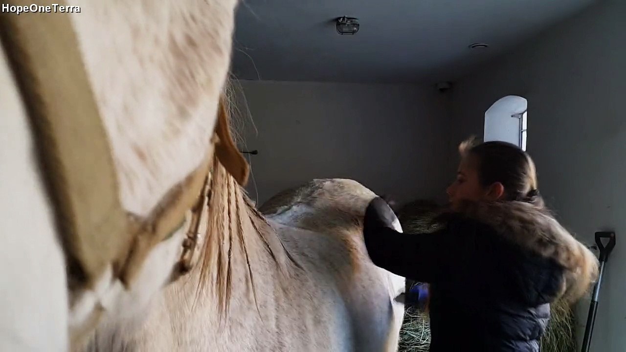 My Equestrian Video.