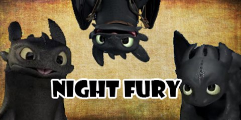 Night Fury Tribute