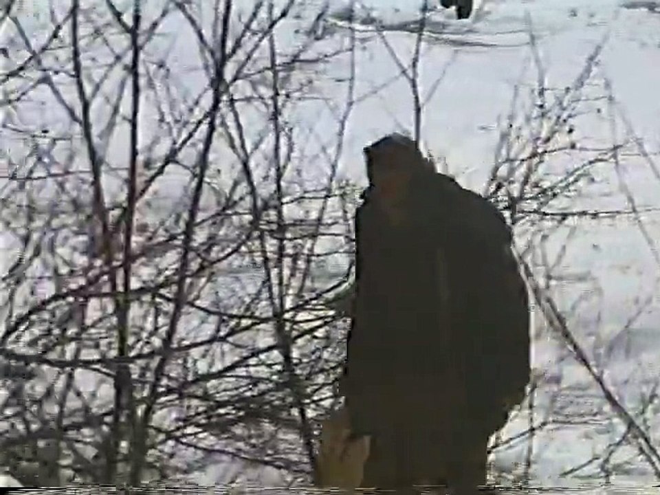 Death of a Lumberjack