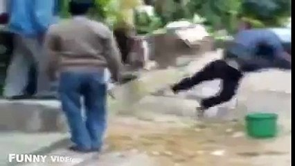 Funny Cow Goes Crazy Attack